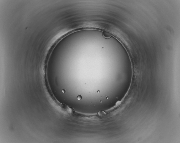 X0000112411133200908141354