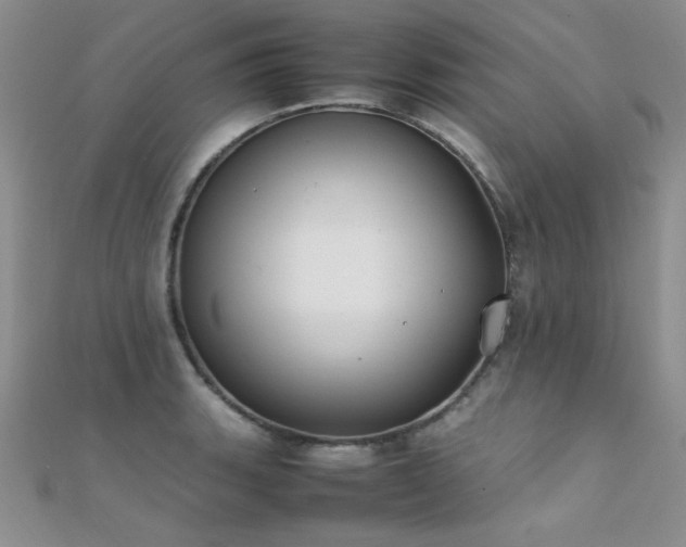 X0000112411135200908141354