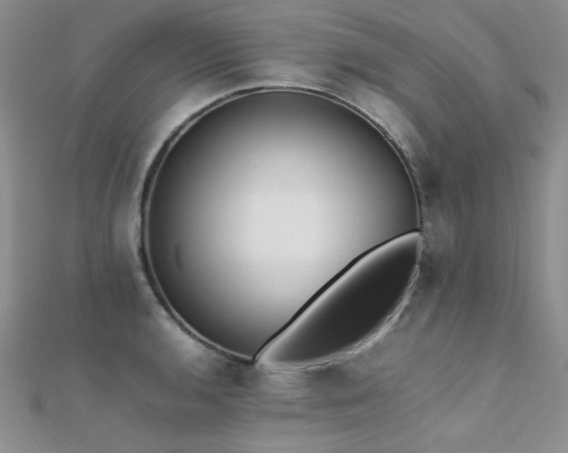 X0000112411136200908141354