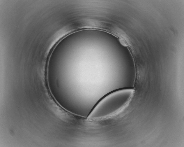 X0000112411138200908141355