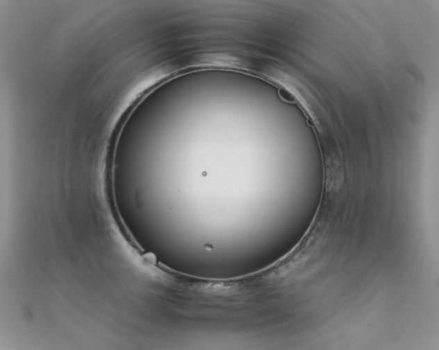X0000112411139200908141355