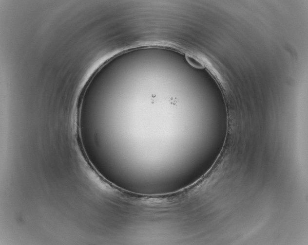 X0000112411140200908141355