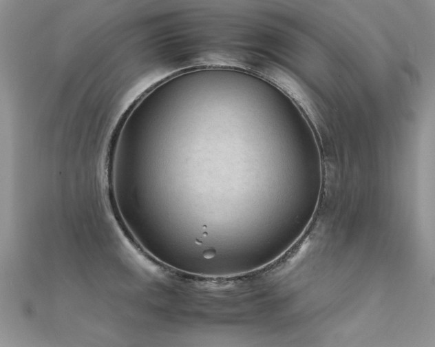 X0000112411141200908141355