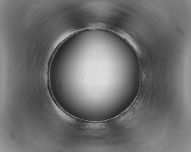X0000112411143200908141355