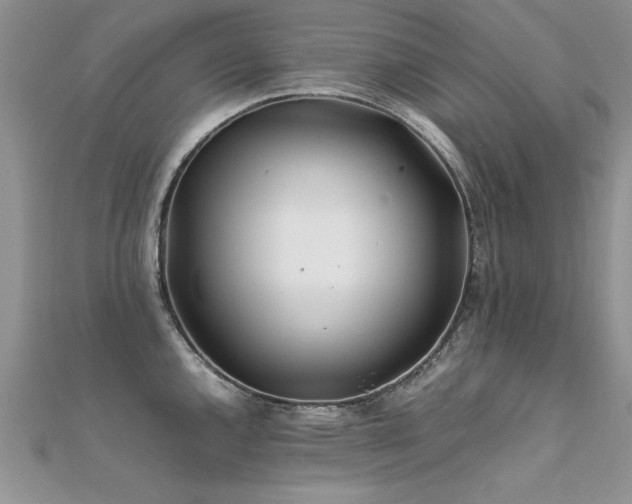 X0000112411144200908141355