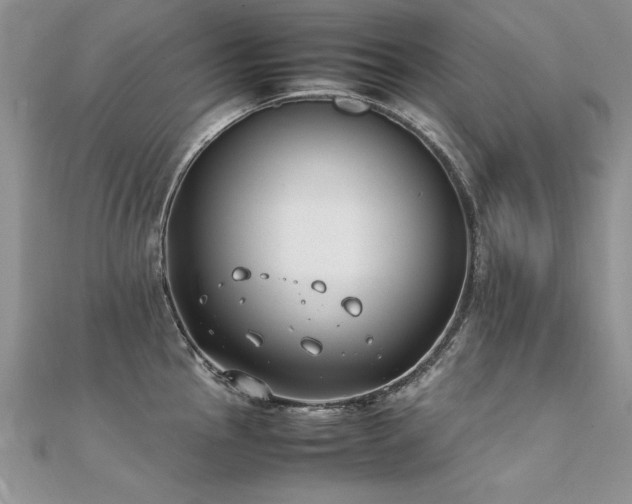 X0000112411145200908141355