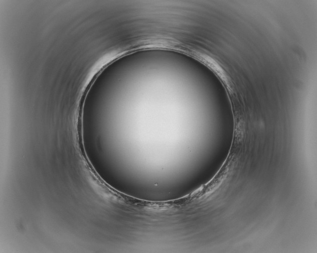 X0000112411146200908141355