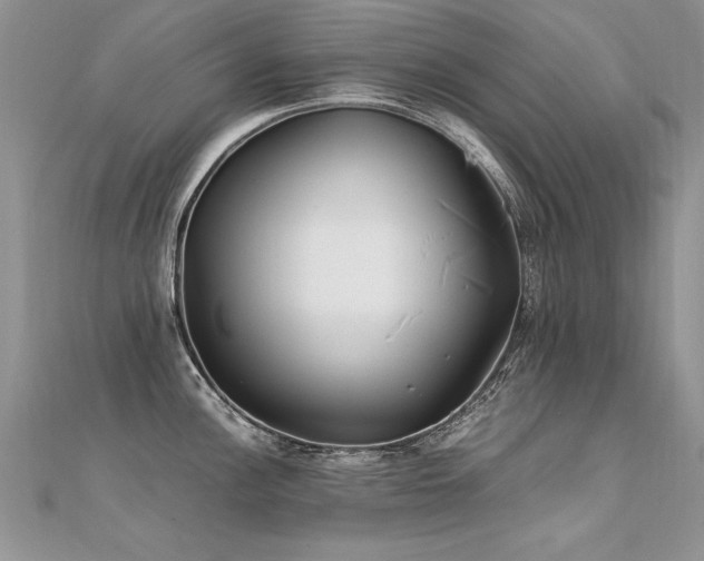 X0000112411148200908141355
