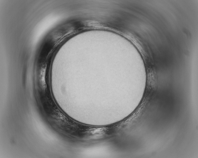 X0000112411150200908141355