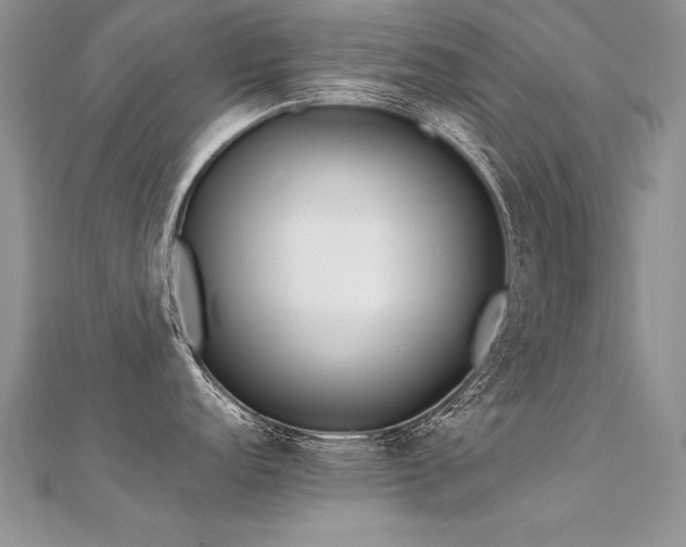 X0000112411152200908141355