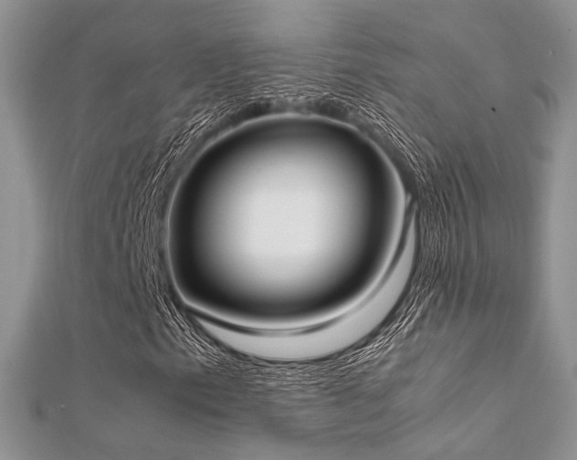 X0000112411153200908141354
