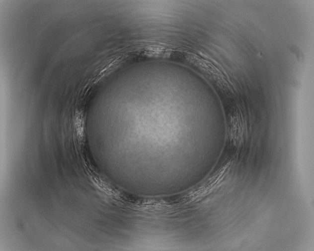 X0000112411154200908141354
