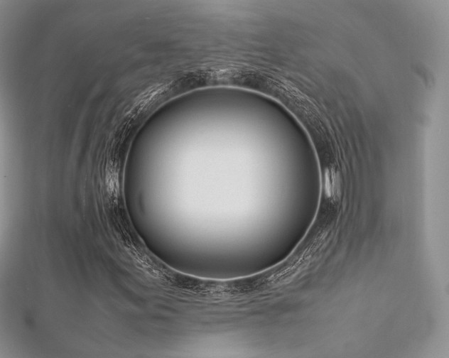 X0000112411155200908141354