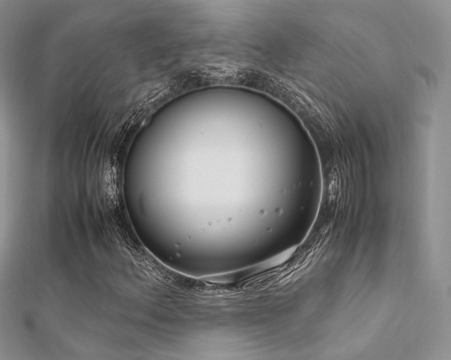 X0000112411156200908141354