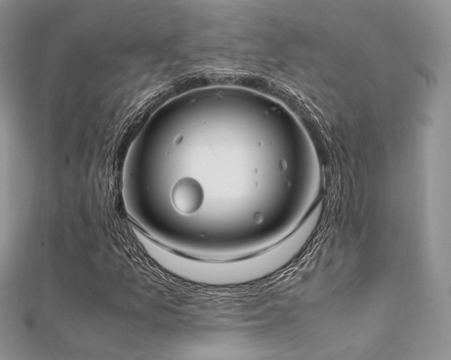 X0000112411157200908141354