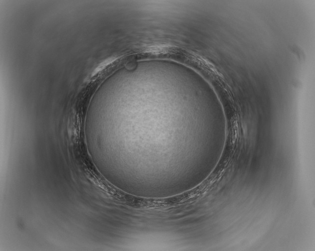 X0000112411158200908141354