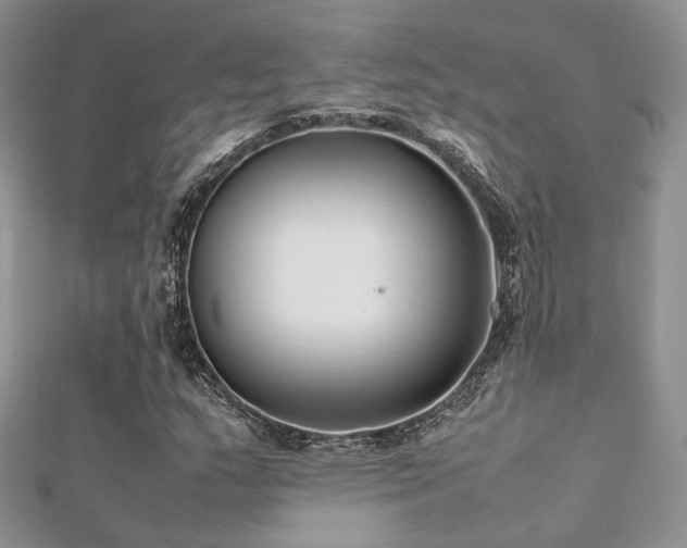 X0000112411159200908141354