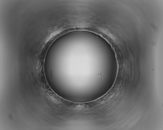X0000112411160200908141354