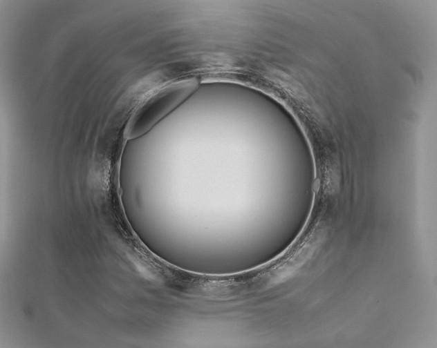 X0000112411161200908141354