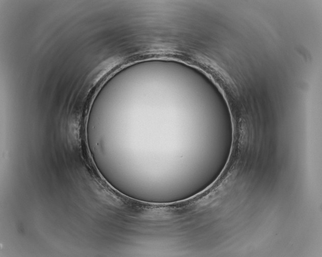X0000112411162200908141354