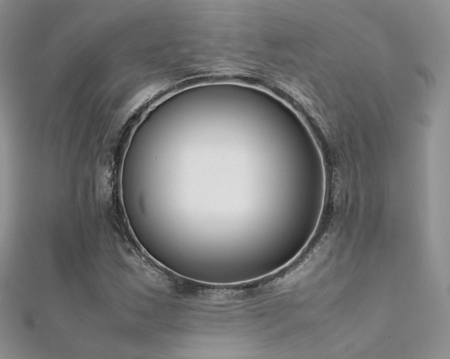 X0000112411163200908141354