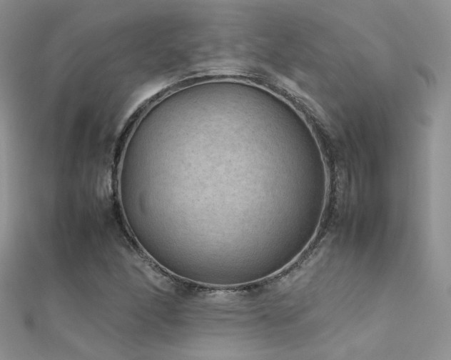X0000112411166200908141354