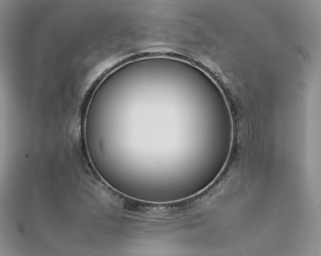 X0000112411167200908141354