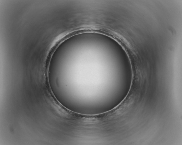 X0000112411168200908141354