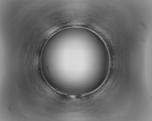 X0000112411169200908141354