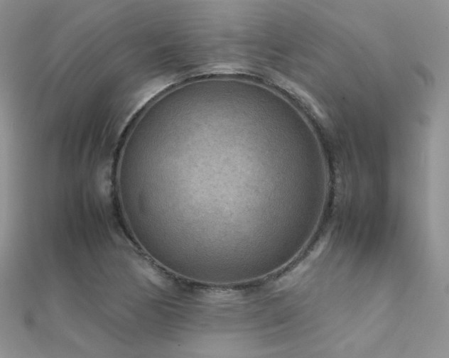 X0000112411170200908141354