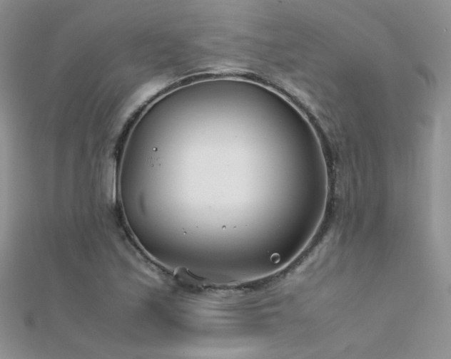 X0000112411171200908141354