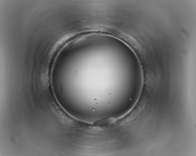 X0000112411172200908141354