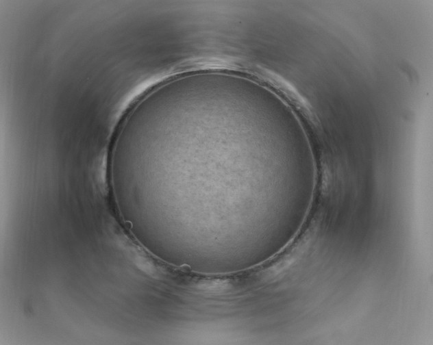 X0000112411174200908141354