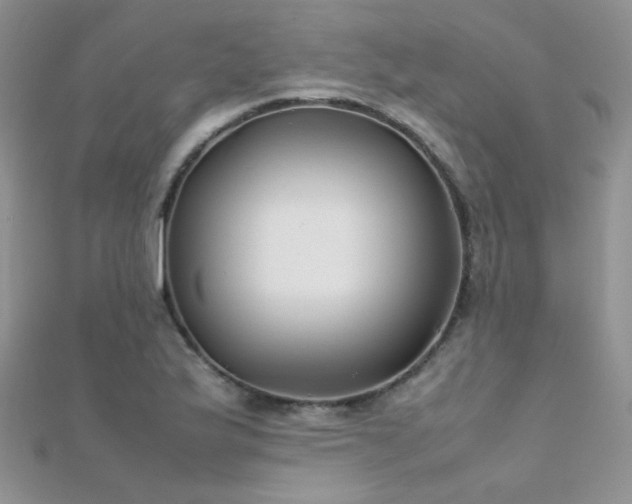 X0000112411175200908141354
