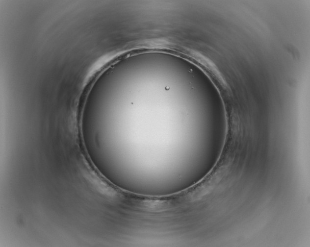 X0000112411176200908141354