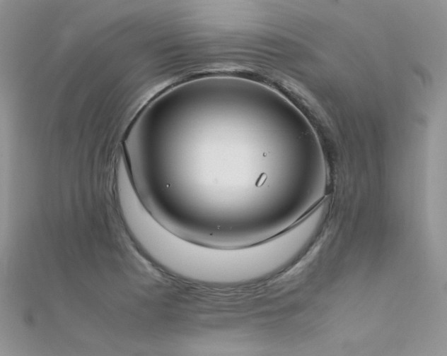 X0000112411177200908141354