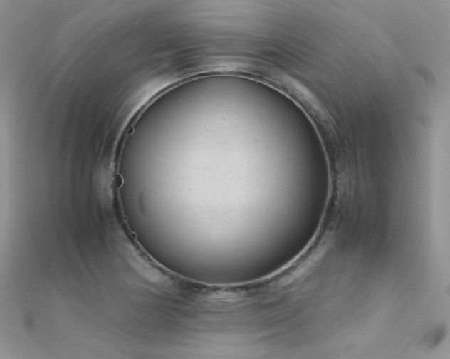 X0000112411178200908141354