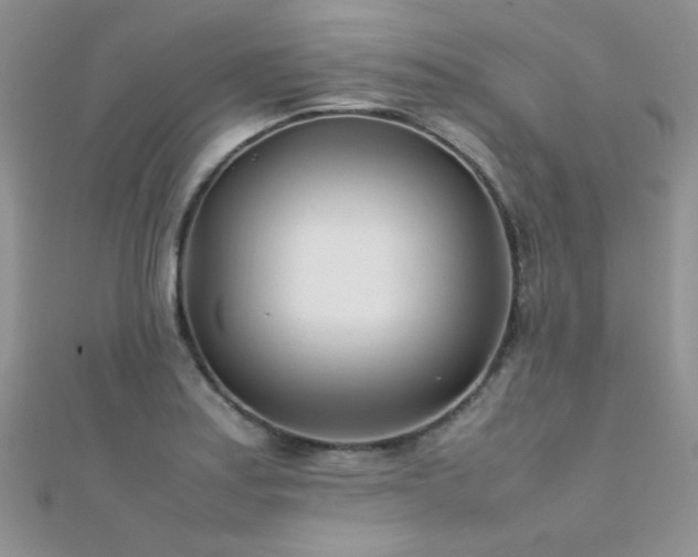 X0000112411179200908141354