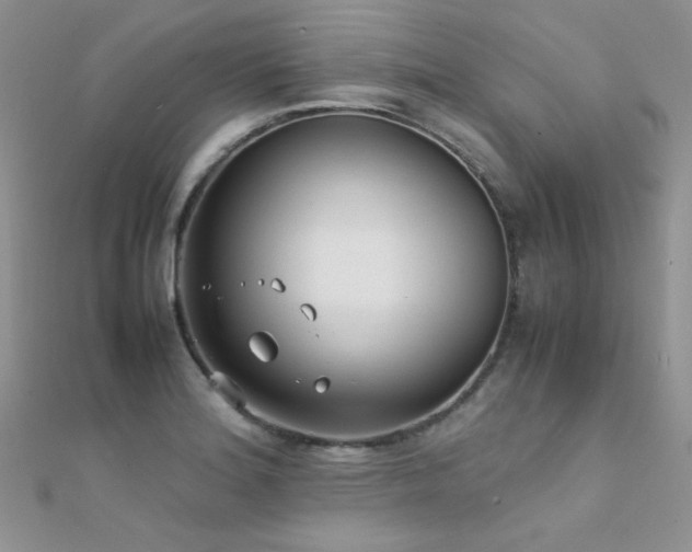 X0000112411180200908141354