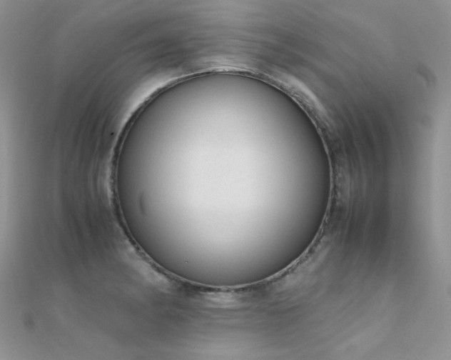 X0000112411182200908141354