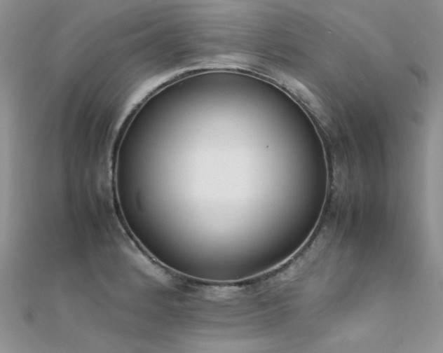 X0000112411184200908141354