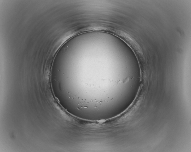X0000112411185200908141354