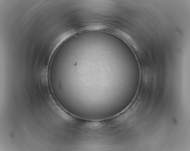 X0000112411186200908141354
