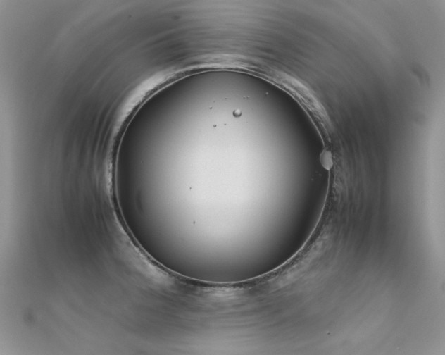 X0000112411188200908141354