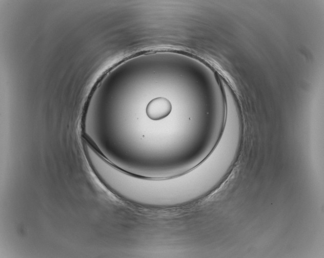 X0000112411189200908141354
