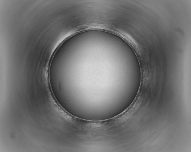 X0000112411190200908141354