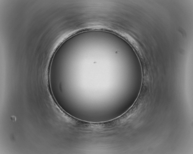 X0000112411191200908141354