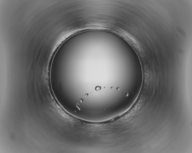 X0000112411192200908141354
