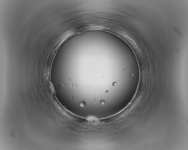 X0000112411193200908141354