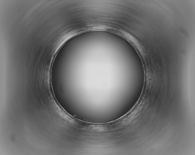X0000112411194200908141354